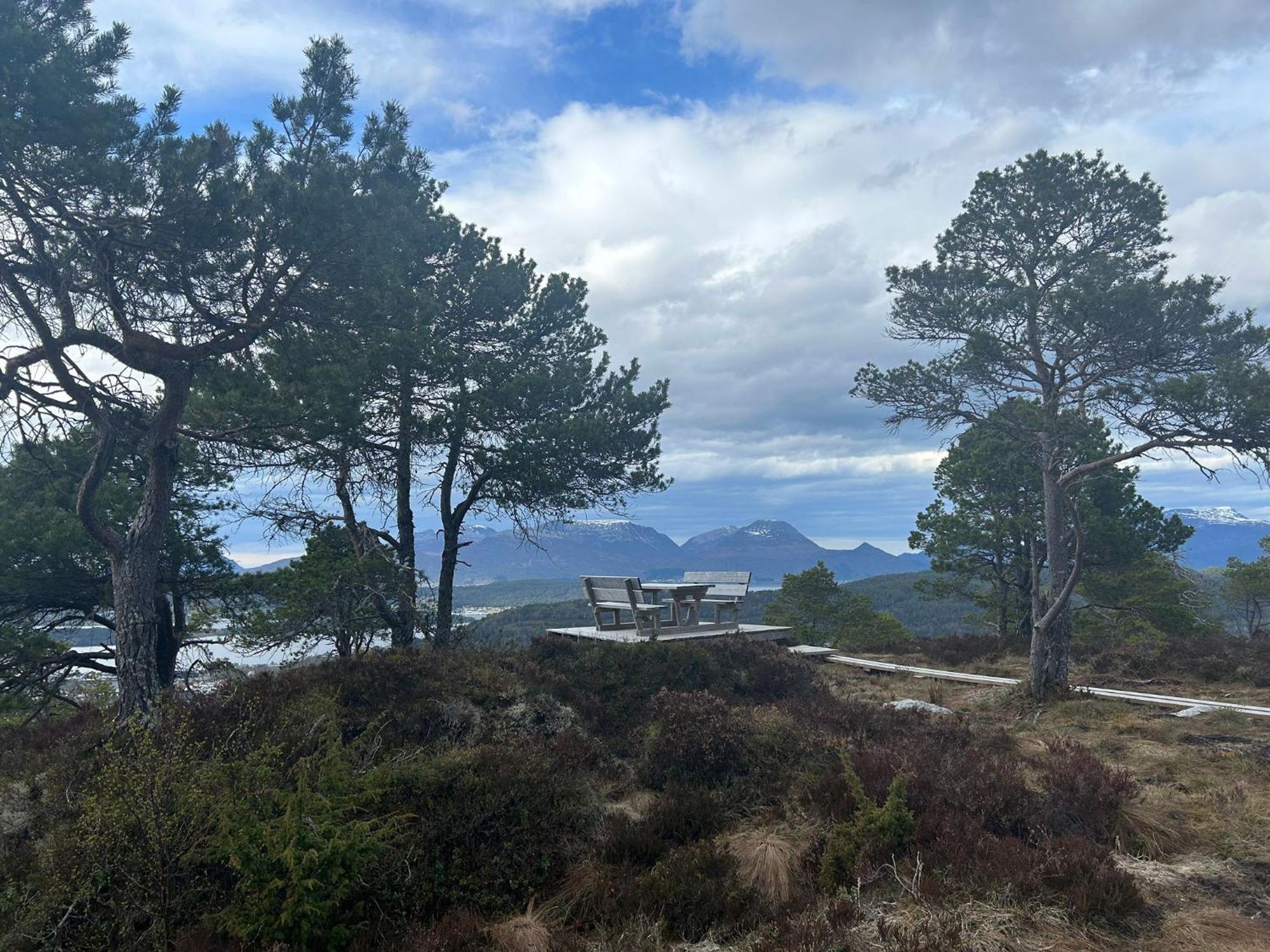 דירות Cozy Retreat In The Heart Of Ålesund מראה חיצוני תמונה
